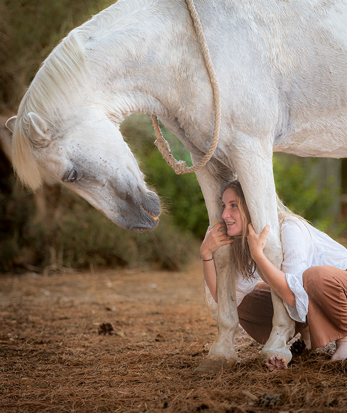 FotoCaballo1